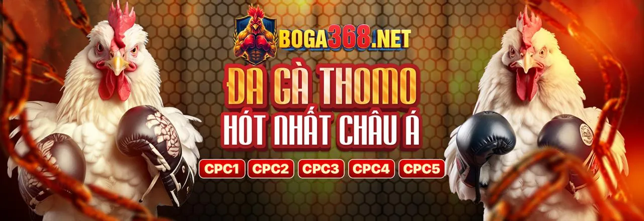 Đá gà trực tuyến kịch tính tại w888 chính thức
